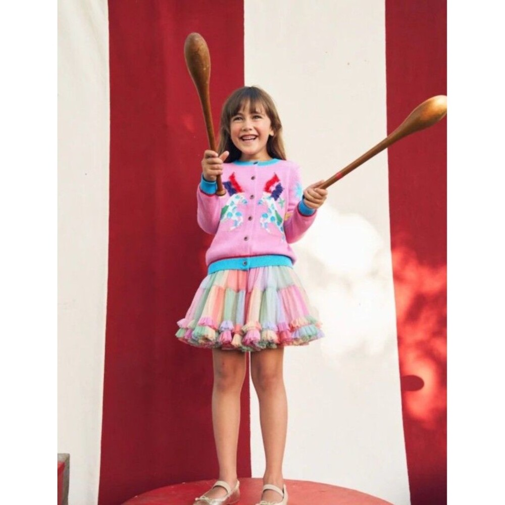 Mini Boden Applique Horse Intarsia Cardigan & pink rainbow tulle skirt size 9/10